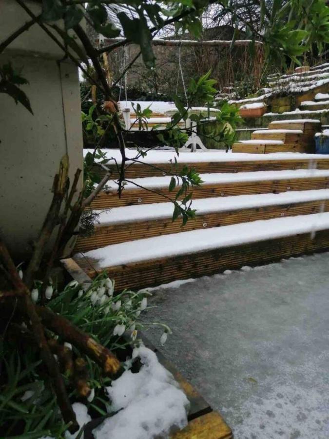 באלימנה Midden Manor Country Stay On A Working Dairy Farm מראה חיצוני תמונה